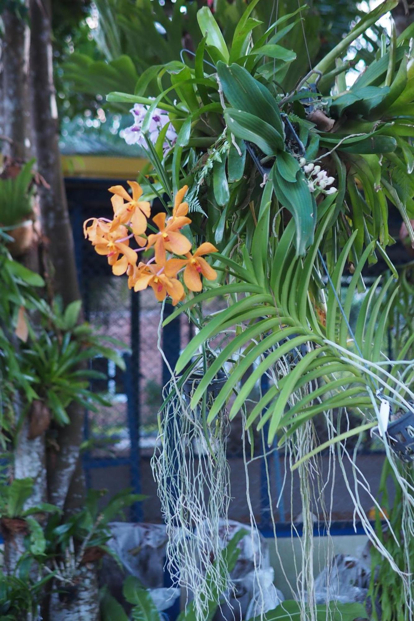 Villa Omloft Phuket Esterno foto