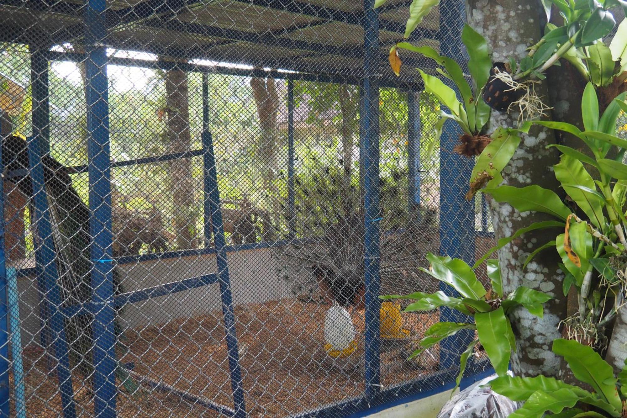 Villa Omloft Phuket Esterno foto